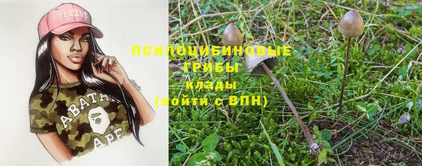 MESCALINE Няндома