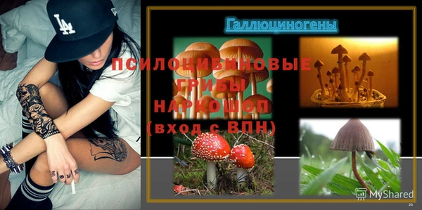 MESCALINE Няндома