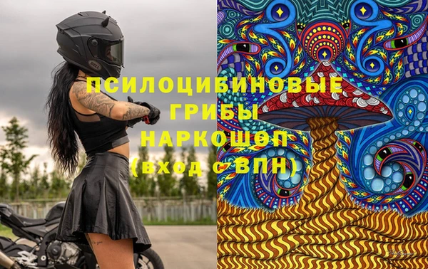 шишки Верхний Тагил