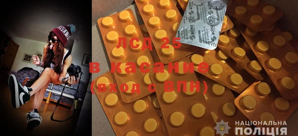 ГАЛЛЮЦИНОГЕННЫЕ ГРИБЫ Нязепетровск