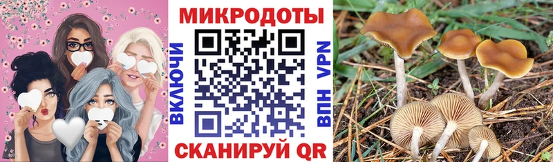 Псилоцибиновые грибы MAGIC MUSHROOMS  hydra онион  Серафимович 